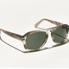 2141-sechel-sun-2.webp SECHEL SUN