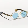 2498-foygel-sun-2.webp FOYGEL SUN