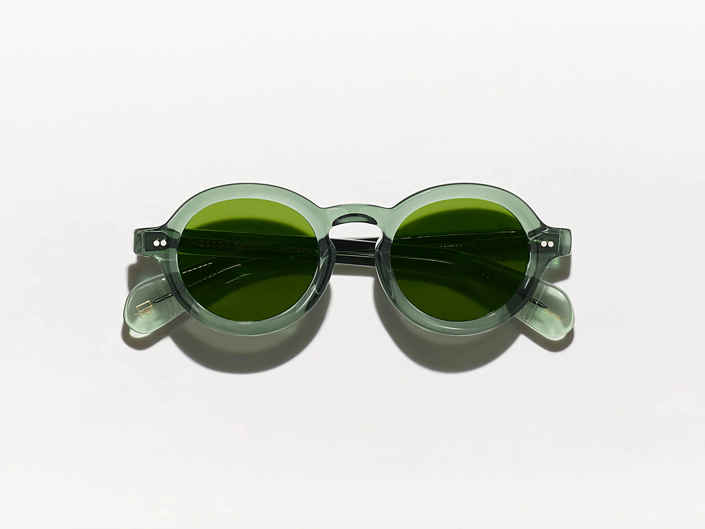 2498-foygel-sun-5.webp FOYGEL SUN