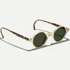 2787-scooch-sun-6.webp SCOOCH SUN
