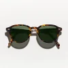 2890-kash-sun-3.webp KASH SUN
