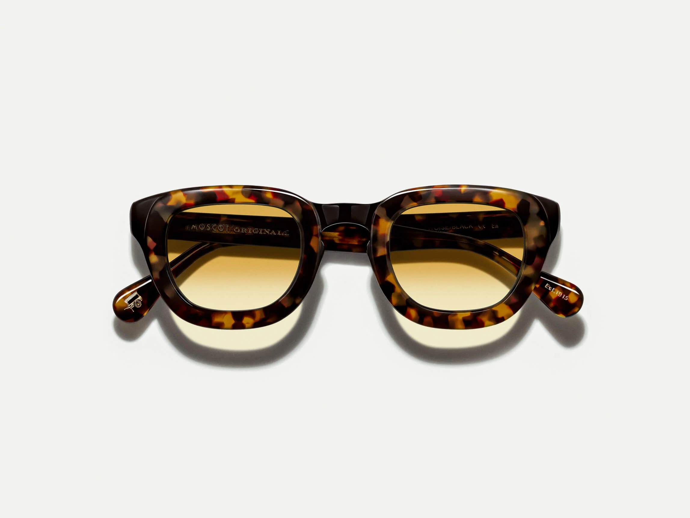 TELENA TORTOISE/BLACK WITH CUSTOM MADE TINTS™
