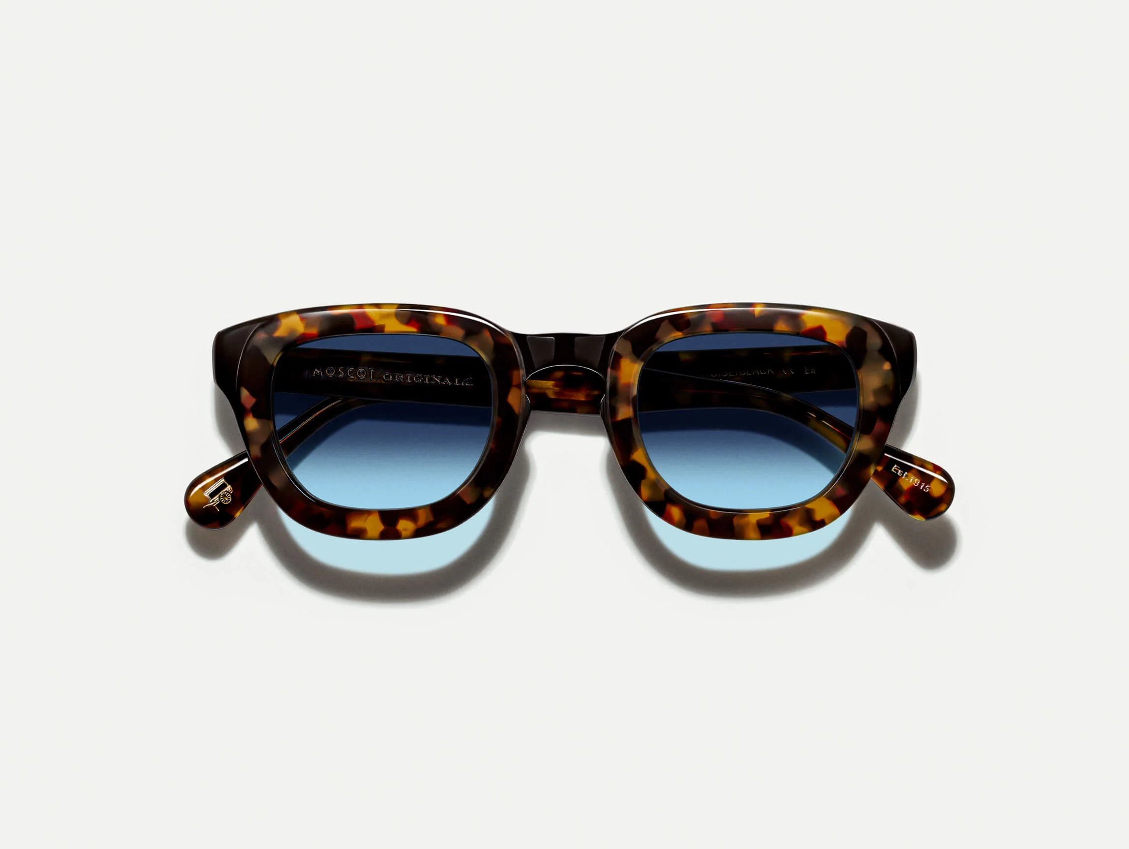 TELENA TORTOISE/BLACK WITH CUSTOM MADE TINTS™