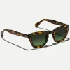 TELENA TORTOISE/BLACK WITH CUSTOM MADE TINTS™