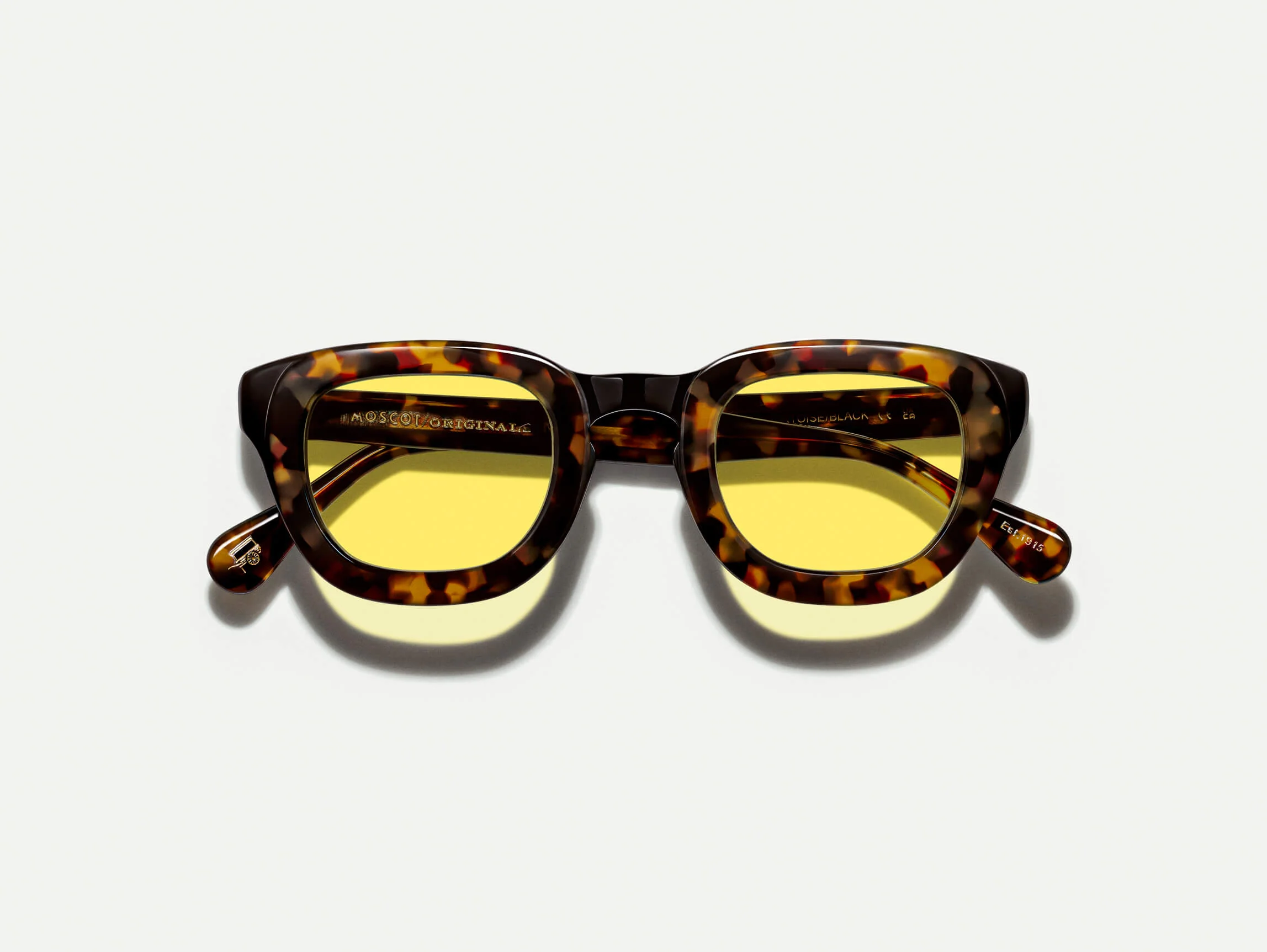 TELENA TORTOISE/BLACK WITH CUSTOM MADE TINTS™