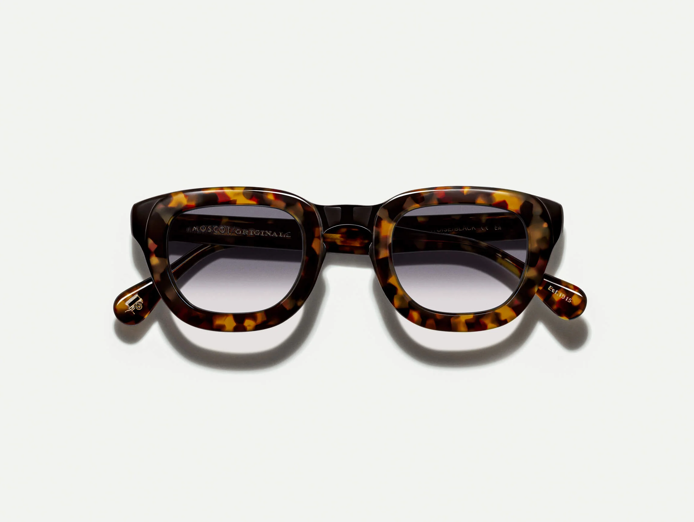 TELENA TORTOISE/BLACK WITH CUSTOM MADE TINTS™