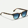 3247-fevel-sun-6.webp FEVEL SUN
