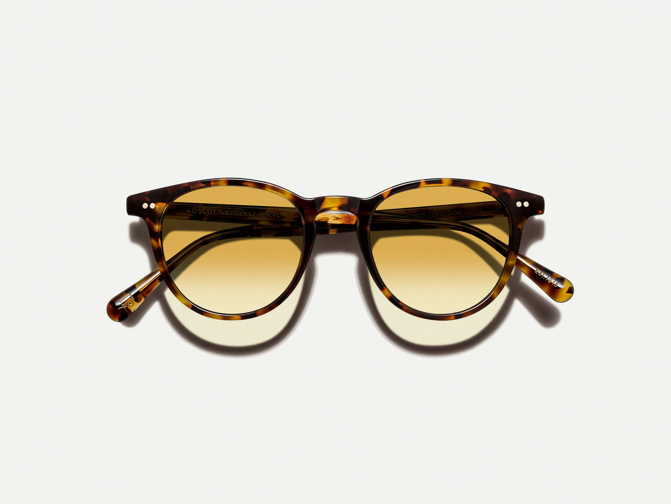 464-spot-tortoise-50-spot-tortoise-50-variation-1.webp JARED SUN