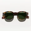 901-tortoise-49-tortoise-49-variation-1.webp MOMZA SUN